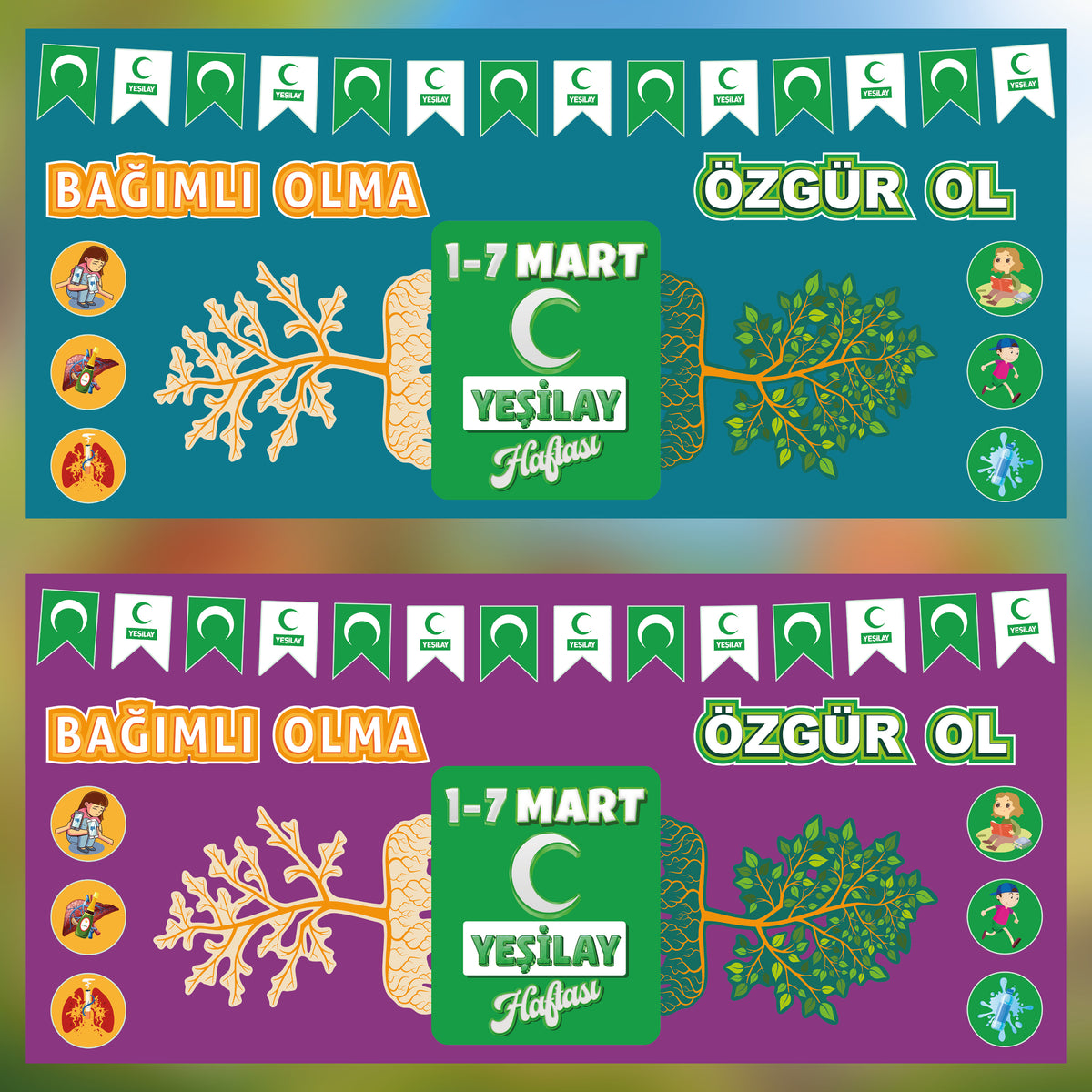 Yeşilay Haftası Sınıf ve Okul Panosu Seti (170x80 cm)-zoom-6